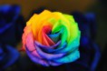 /album/fotogaleria/terapia-colores-akirelax-jpg1/